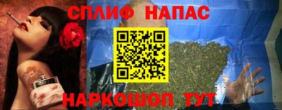 дживик Тверь